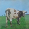Pink Floyd • Atom Heart Mother • CD